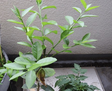 009CE207-510D-470C-9C87-D2085B3285B6