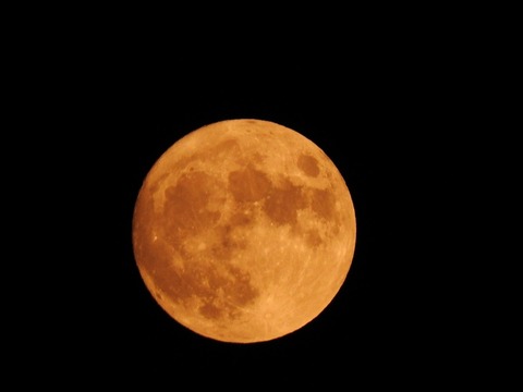 19E55886-2B37-4356-831E-D4F22182FE8C