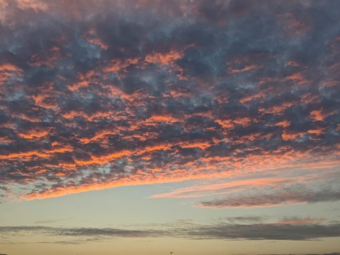 BC741640-1EBF-42A5-B410-DAD2DD472E3E