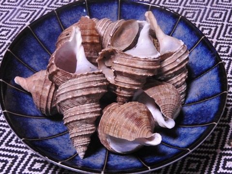 321696EB-7104-4D81-AE89-8C47EB38A226