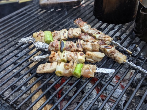 3CB0FDF0-787C-4F11-86CF-D04367B5478D