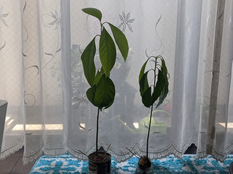 E8AF1FAE-5B50-427C-9FAB-07EC1E3463CC