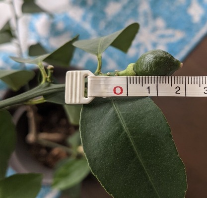 C543AF09-EF37-4673-AC8D-768632703997