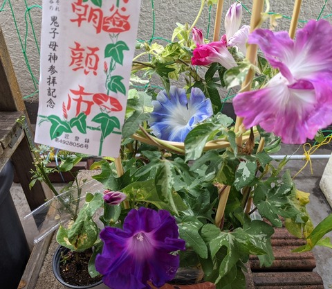 56F36EF8-84E0-43D4-8B8D-50A372709AD4