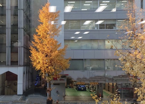 0F06A630-7373-40DF-B926-CED071870E2D