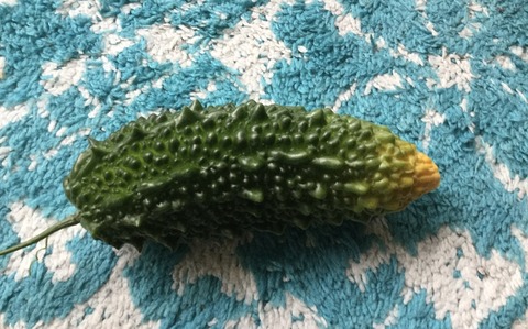 FD42C33D-CA4C-41BE-A762-E1DB7DECFC76