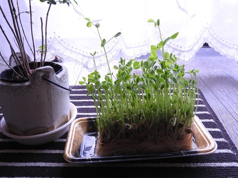 708BFFC6-7B4F-4CA4-BAA4-A79DFF60269B