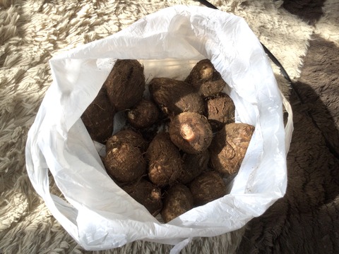 62DE701A-2947-4C2D-844B-248F5F0E9682