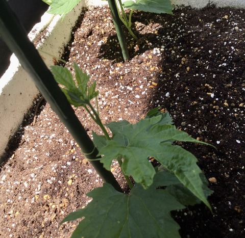 9615D12F-442D-4C2A-BCE3-77FD228FACDA