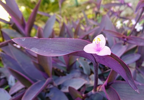 88C8A248-2799-4A5E-9494-680356922671