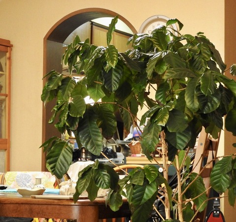 C5FC985C-5019-4C2D-9000-6CBBAA7A9C20