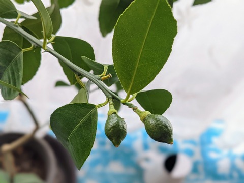 30EC4D2E-22A7-4A92-AF4A-E324A40A7A6A