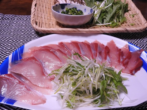 F508D909-11CB-45E8-9FFC-E2FEE7E115BA