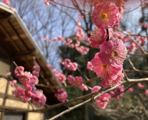 198AAB6D-083C-4C0F-AD88-39516AF8659C