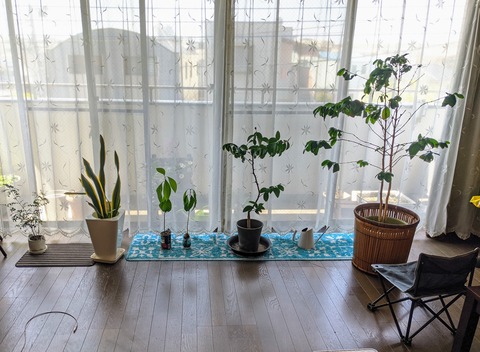 637AF7E6-4A80-49C3-95BC-79D7C64D31A1