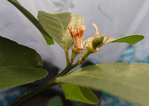 D66112D7-4418-4CEE-B24C-37E5020E9F81