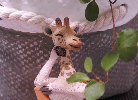 01BCA7B8-1950-4D35-9B4B-58C03E918659