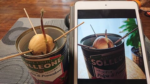 0288EC2B-F05D-42CE-A3F9-462190C01502