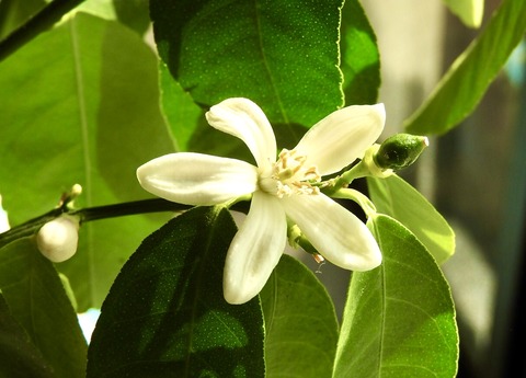 EC3EB26E-BA72-4BC6-BA03-C2A06DEDD42F