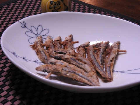 4B51C3A0-EFEF-484B-A06F-356A77E1528C