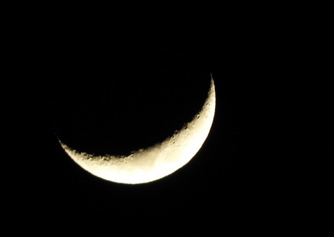 EEA54122-369D-4AC6-8101-ED2E3FAF60A4