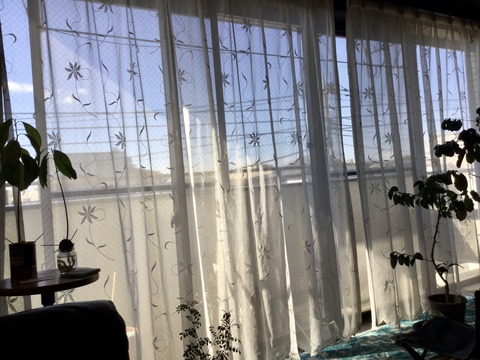 272527D1-4C85-4193-A9D5-40179D5A1E7C