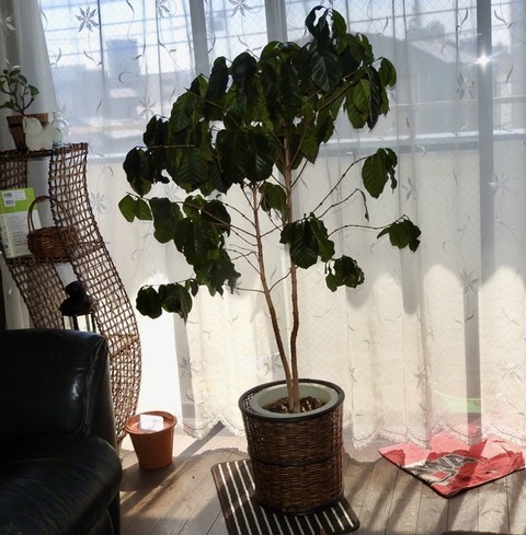 67482DF5-AB73-44DD-A1B5-ECF78E983FBF