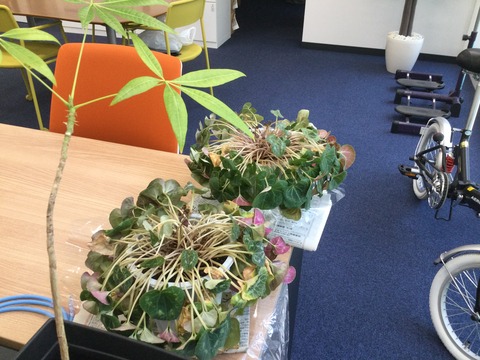 D9B5F92D-D0DA-4DAC-8F52-A7D375265006