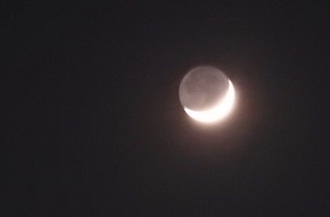 16D899C5-8EE6-4F12-B64A-677C02233E59