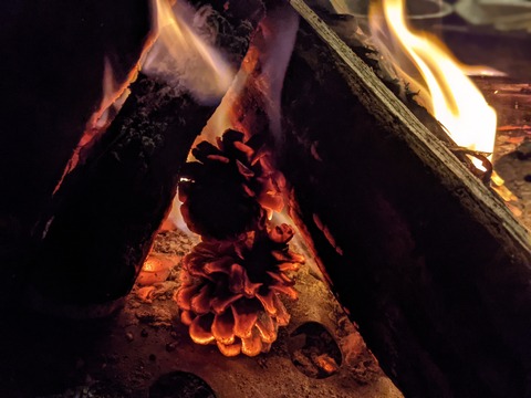 ACBBAF53-9D8E-4F07-9203-B10751D6433C