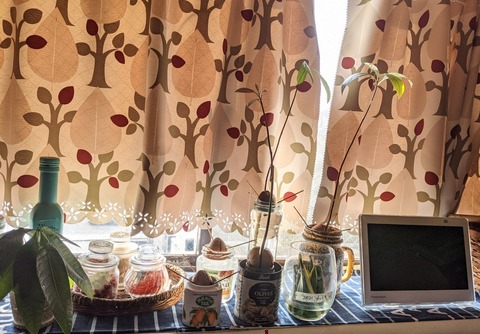 F6111414-D58A-4D7B-9AA4-6BB5F248F6C2