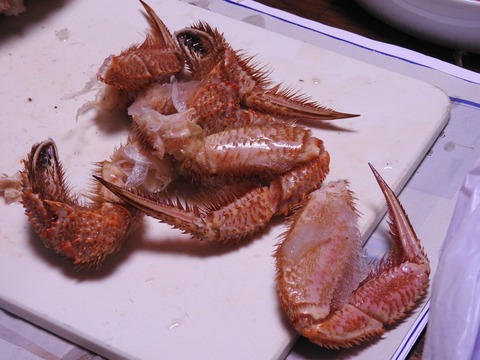 7401C780-D835-4D80-9071-EA2FBAD5AABF