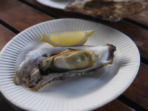 E4648011-F514-4F3E-859D-4235A70AA731