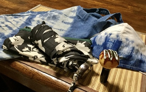 539AB0A5-3CDC-418B-8F9D-93BCC0CA019A