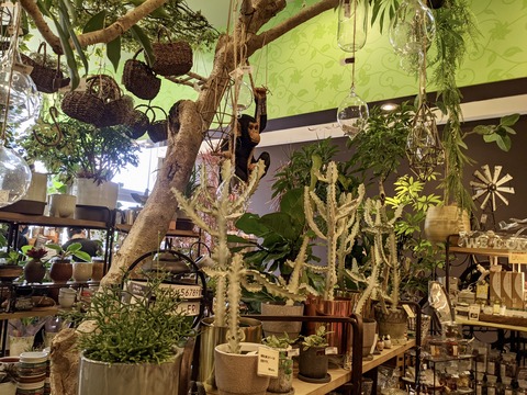 843A0B9F-BE6F-4659-B19A-BFAF7FCC21A2