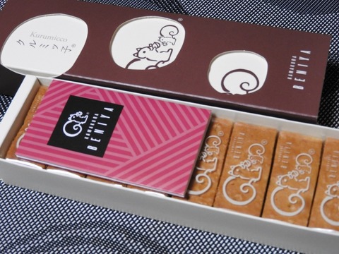 CBE593A5-AC7C-47BC-A735-3C436DC6AF6D