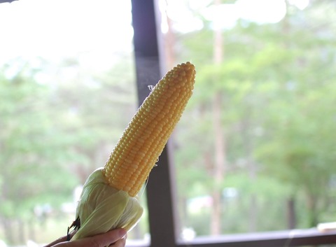 FB41F9D3-038C-45F6-9D0D-1858330E738A