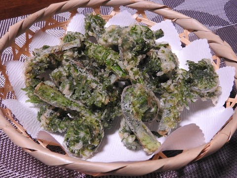 DF1BAA19-435F-47DD-A3F2-F4C720FB4F44