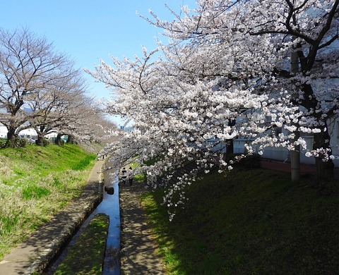 1D36288F-74C6-4464-BB97-6DD90D80EB5C