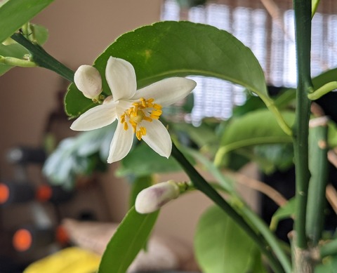 CC7D7132-BCE0-4B3B-88BA-7420324E8F5A