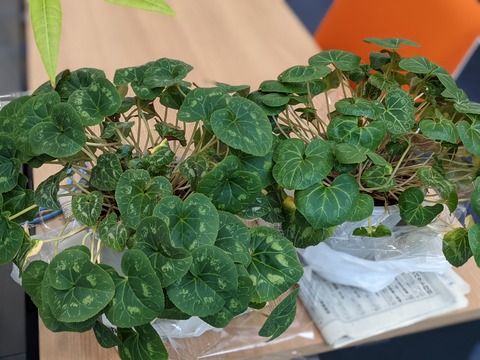 0DF93F0A-1872-4017-B52C-F21749D19099