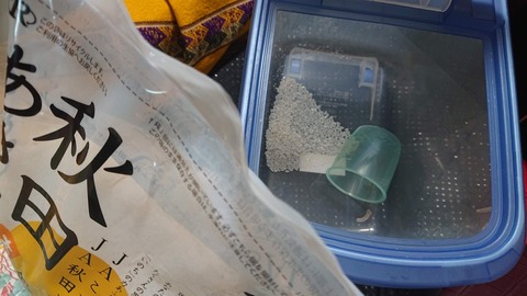 C6112866-54C0-4D9D-89FC-C9BA13D4A43E