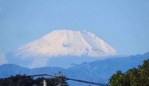 3095575A-5B04-45EE-A139-3C0F3CA29A2F