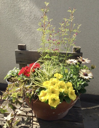 5046A04E-AC14-4E86-B04F-641907733361