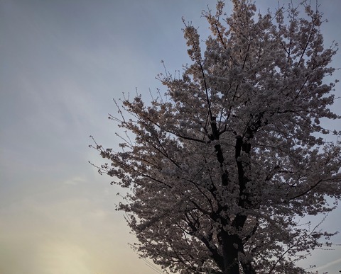 FCCE7DE6-1FC9-447D-AFC1-3E897601AE03