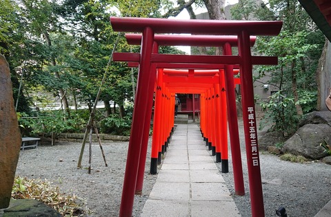 3AEAE03C-3E51-417B-8B06-43DD7AE0595B