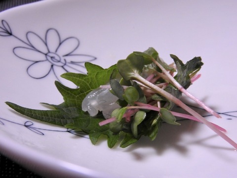 1CC7B92E-4B8F-46BA-8D89-08523ED8CAC3