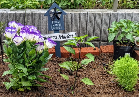 A654F61A-E1D0-4D30-9A23-E38B33EFD0A3