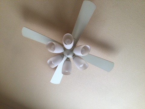 008C0443-DDF8-4E99-9E39-44259990CE3F