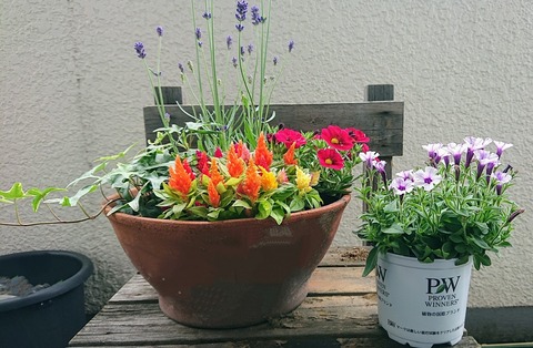 F42387D0-4FEF-4A56-ABA7-FB825F98F5A1